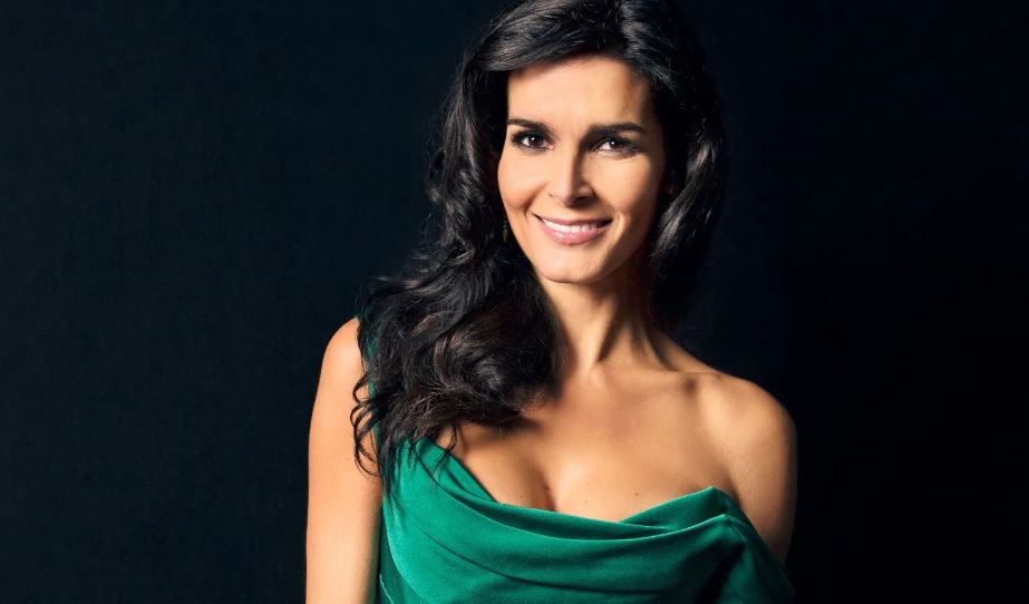 Angie Harmon's Net Worth and Career Journey