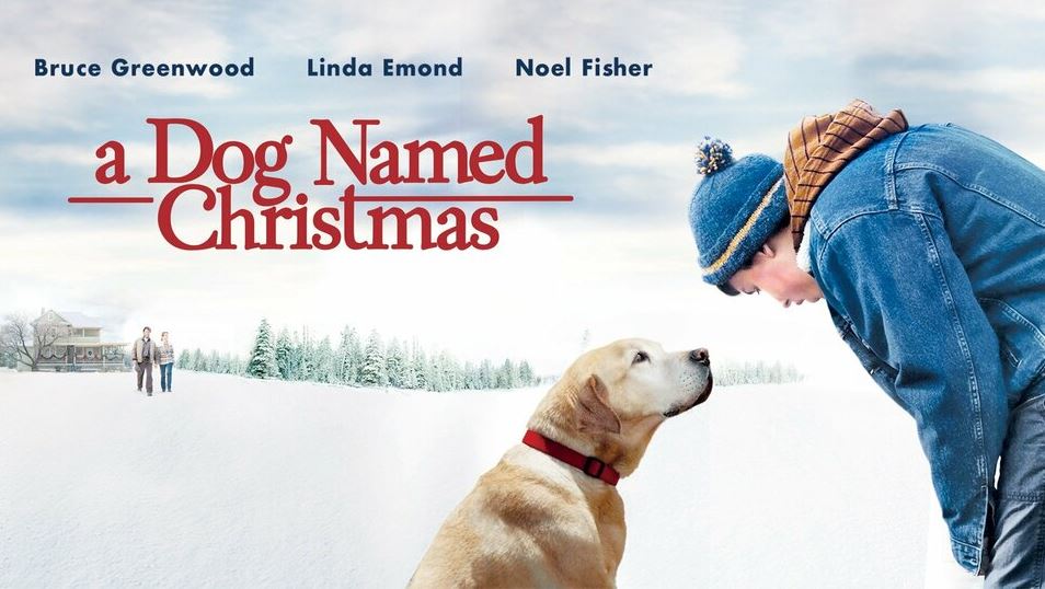 Top Movies with 'Dog' in the Title